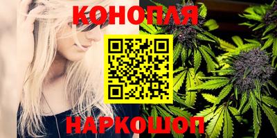 крисы Балашиха