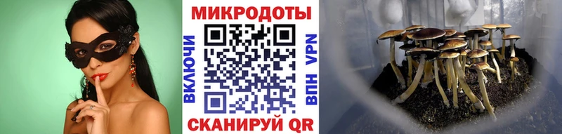 Галлюциногенные грибы GOLDEN TEACHER  дарнет шоп  Иркутск 