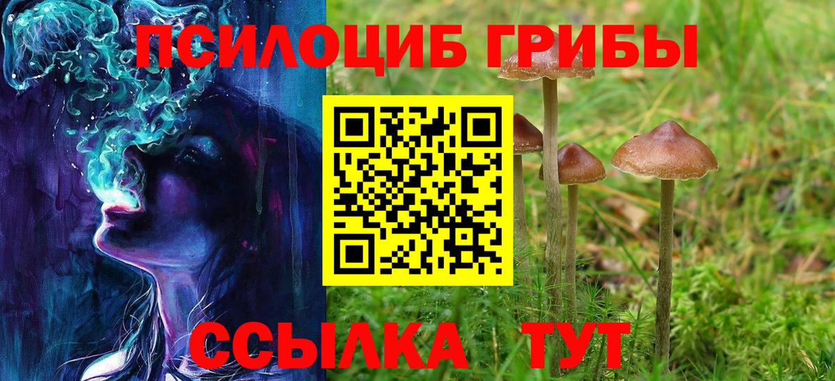Иркутск  Псилоцибиновые грибы Magic Shrooms  Вход с VPN  Псилоцибиновые грибы Psilocybine cubensis 