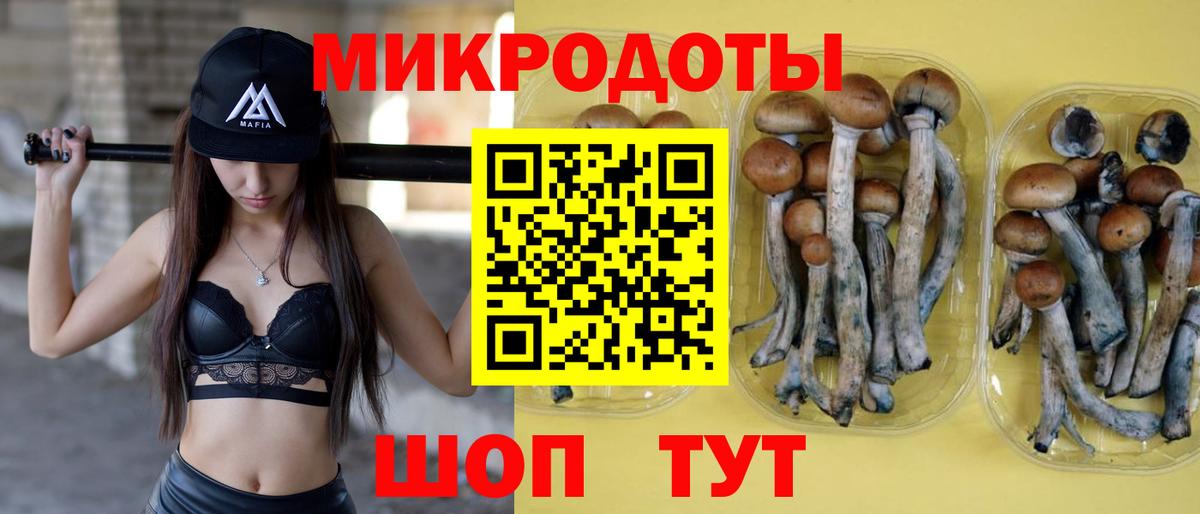 Псилоцибиновые грибы Cubensis Иркутск