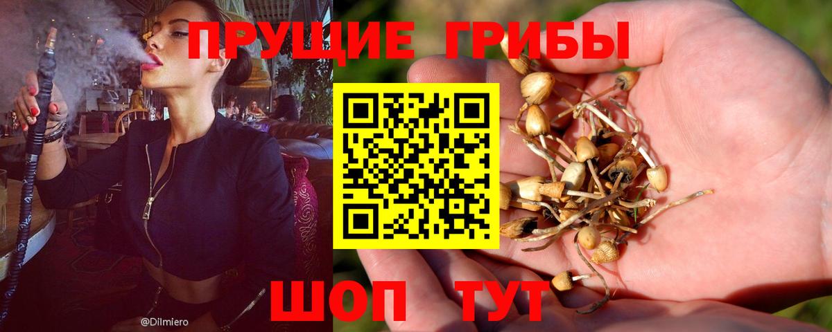 Галлюциногенные грибы GOLDEN TEACHER  Иркутск 